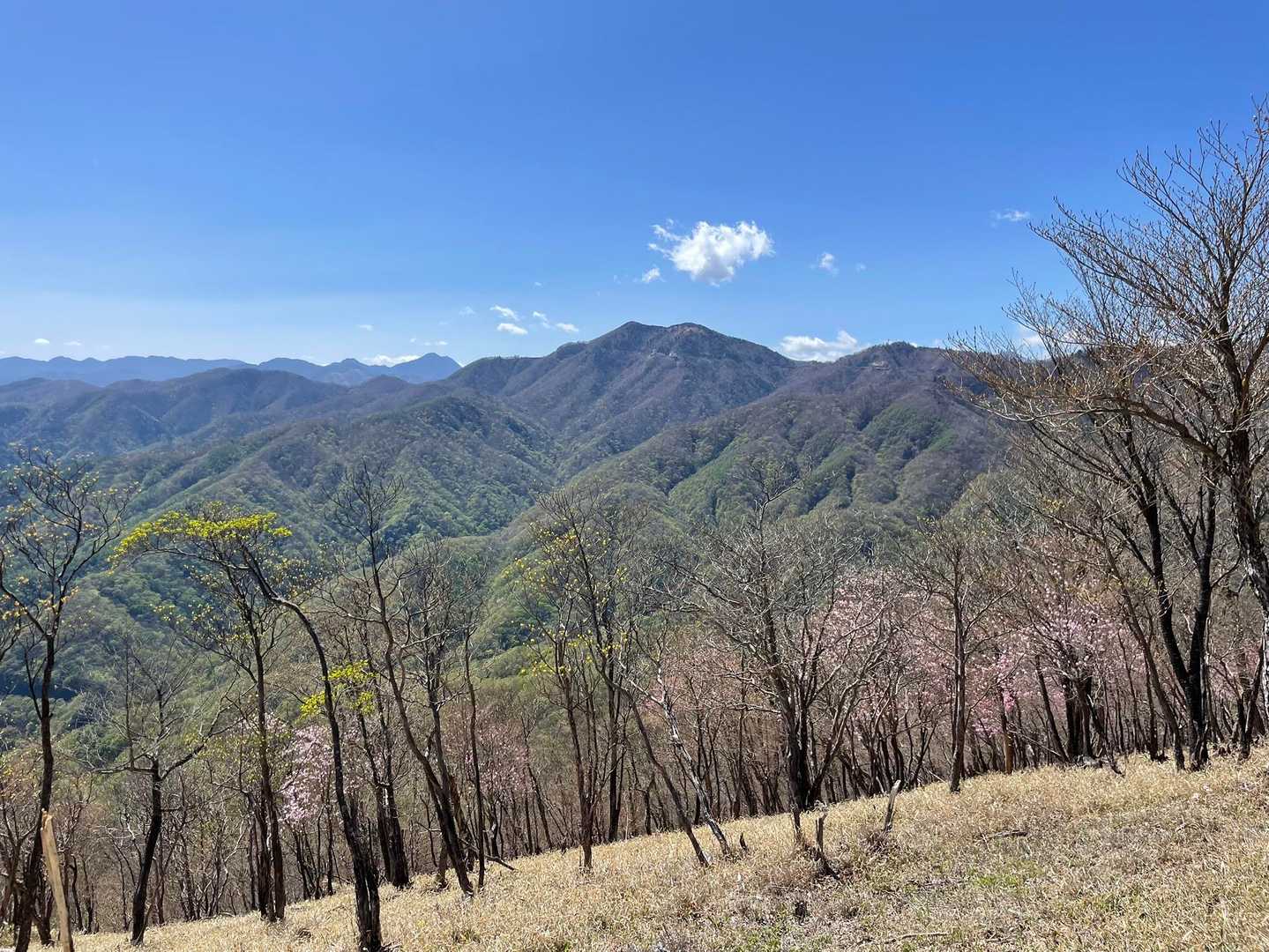 細尾峠-薬師岳 往復コースの写真