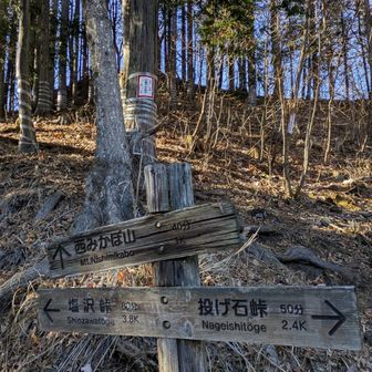 稜線は中央登山口よりも緩やかだが風が冷たく落ち葉も多かったね

🧤そろそろ指なし手袋
👒耳が被らない帽子では寒いっす🪑


西登山口の分岐点から