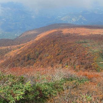 眼下には山一面秋色の景色が広がる🍁