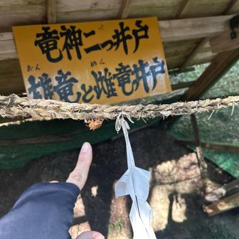 蝉の抜け殻が3個ありました。