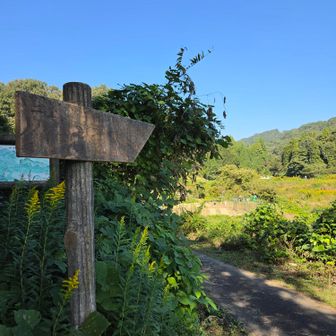 標識らしいものがなく、向き見てあっちかなと。