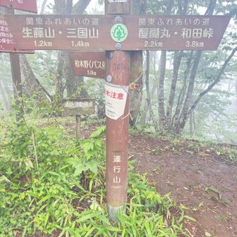 連行山登頂1016m
茅丸・生藤山・三国山を計画しましたが🗻見えなそう🫥なのでカット✂️
