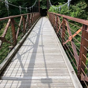 滝を見るだけの橋