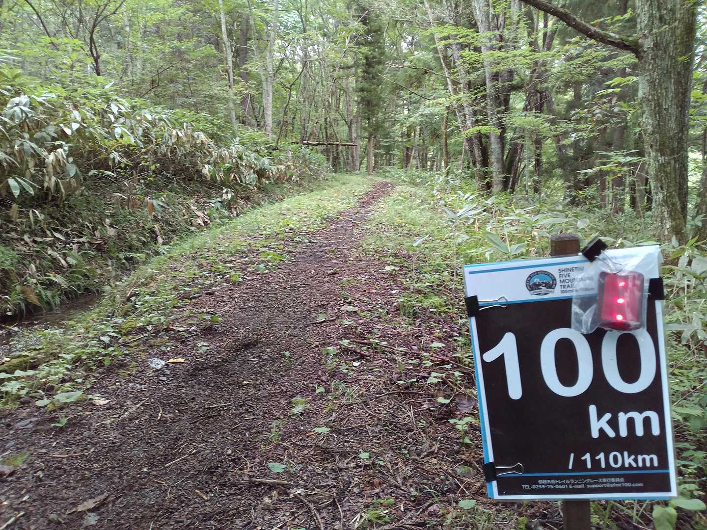 信越五岳、豪雨のため途中で打ち切りだったみたいですね💦お疲れ様でした🥹