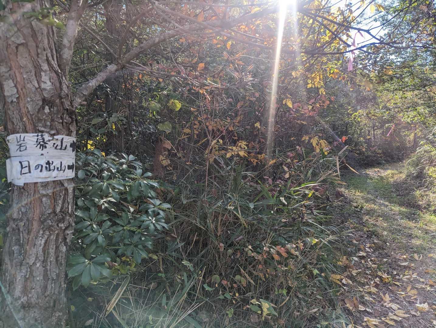 東屋-岩幕山 周回コースの写真