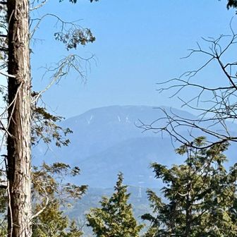 恵那山　❄️無いね