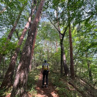八重山に向かいます。