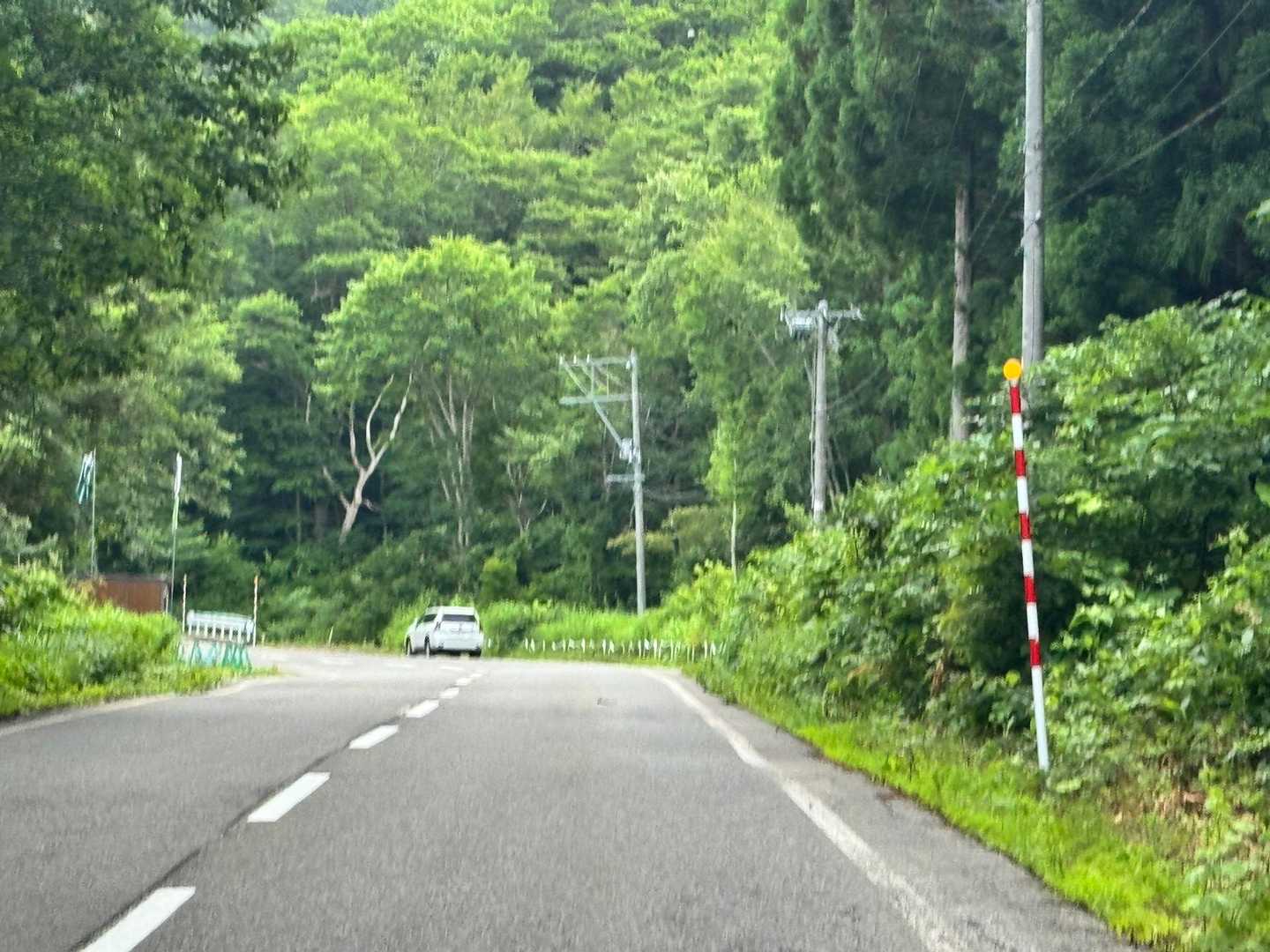 ゆるやまさんの車が
見えたぁ👀
