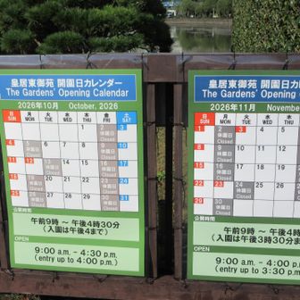 では皇居東御苑へ！
休園日や時間に注意⚠️
このあと船橋市に行くのでだんだん焦ってきました💦東御苑は何度も来てるので撮影しましたけど、すっ飛ばします🙇‍♀️
今回、時間がなくて行きませんでしたが、二の丸庭園は本当に素敵な場所なので、お時間があれば散策することをお勧めします✨
