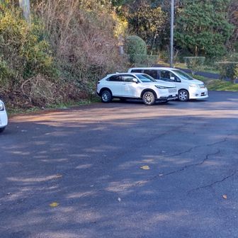 自動車は3台でした。