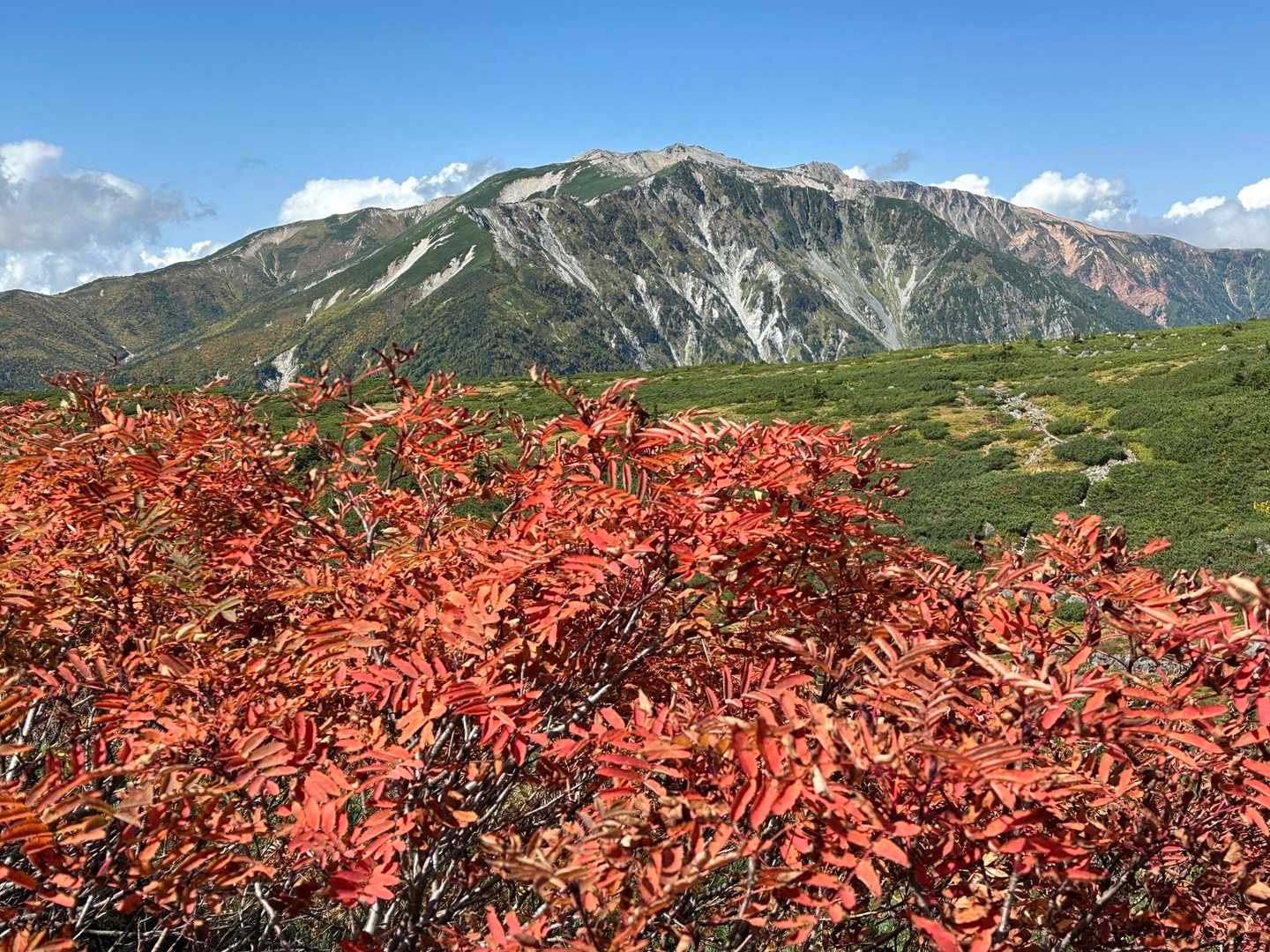 薬師岳登山口-五光岩ベンチ-アラスカ庭園-スイス庭園-祖父 縦走コースの写真
