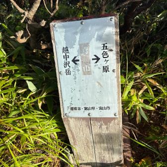 鳶山⛰️