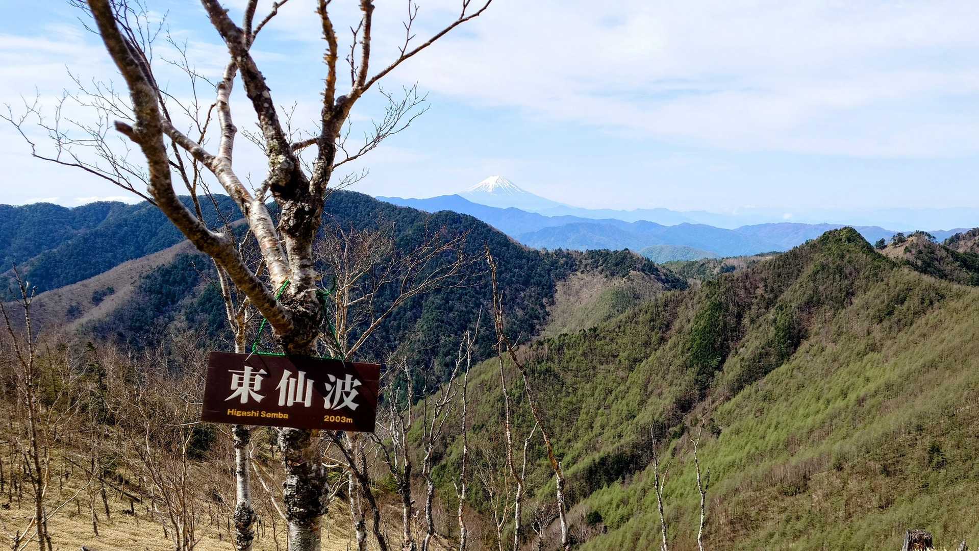 眺望良いのはここまで🗻