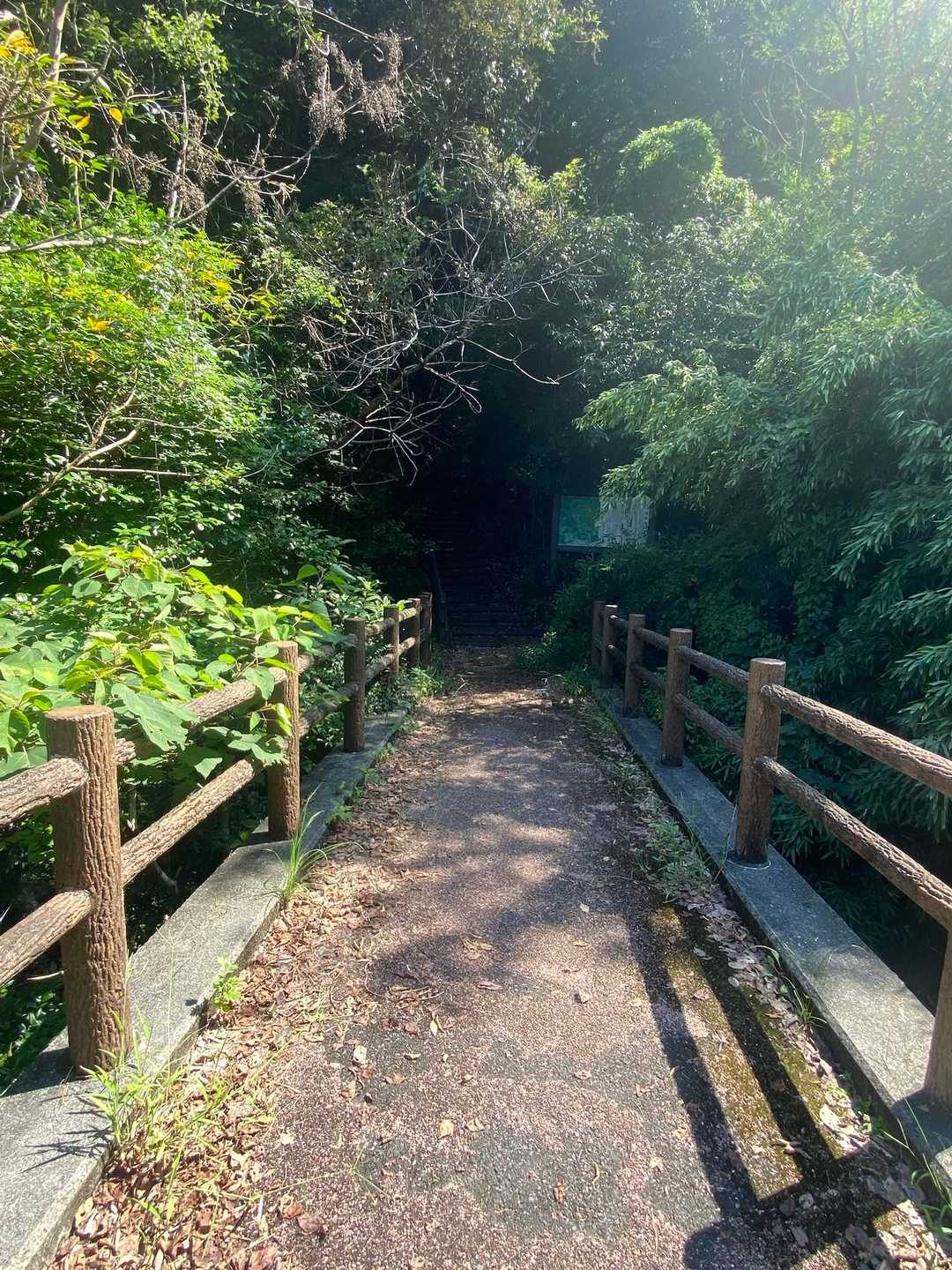 遊歩道入り口。