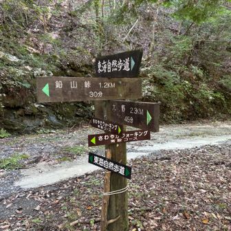 とりあえず
ピークハントしに
鉛山へ
東海自然歩道なのね

さわやかウォーキングコースと
うたってありますが
蜘蛛の巣🕸️とヘビ🐍ヘビ🐍で
爽やかですねー
とは言い切れま。。😳