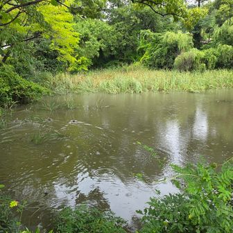 小雨なので近くの低山に来ました