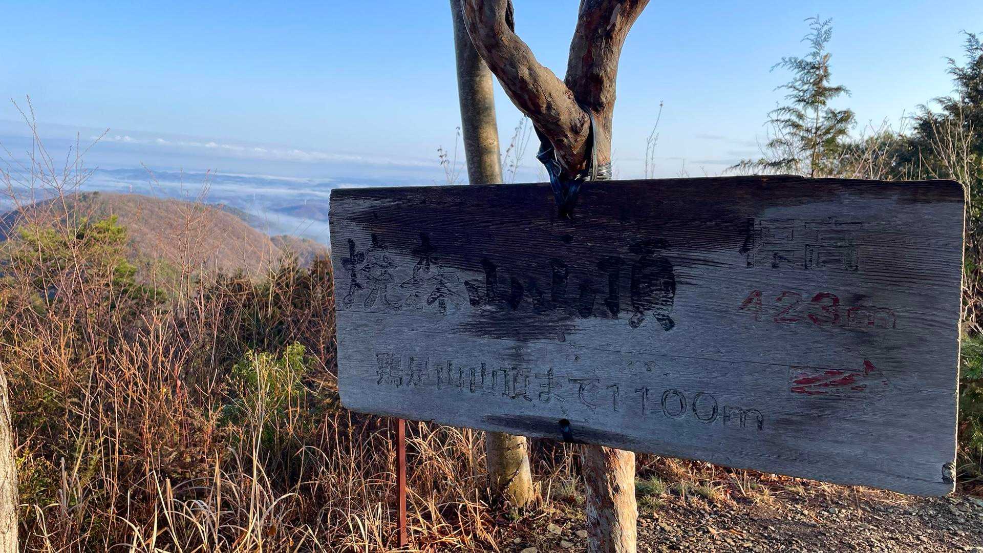 焼森山に到着🥳