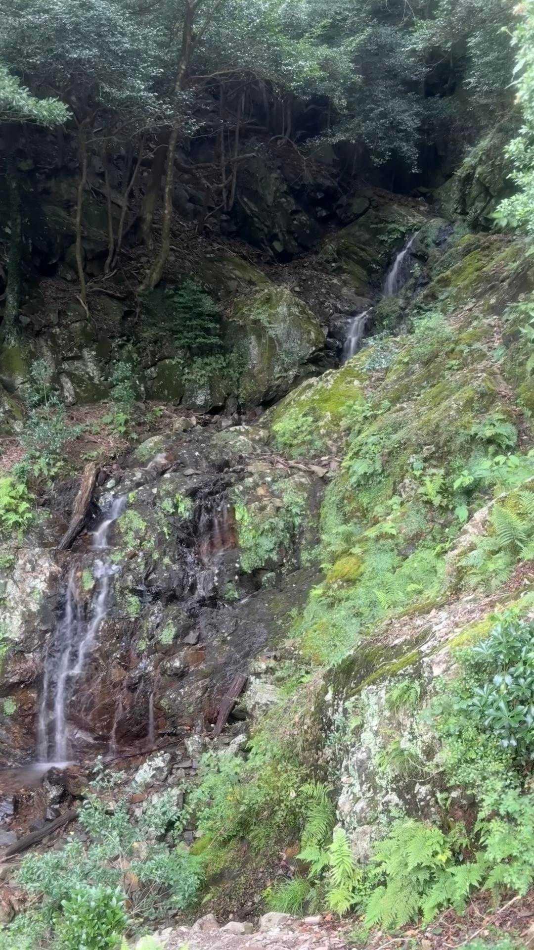 まぼろしの滝💦
台風の影響でもっと立派になってると思ったら…