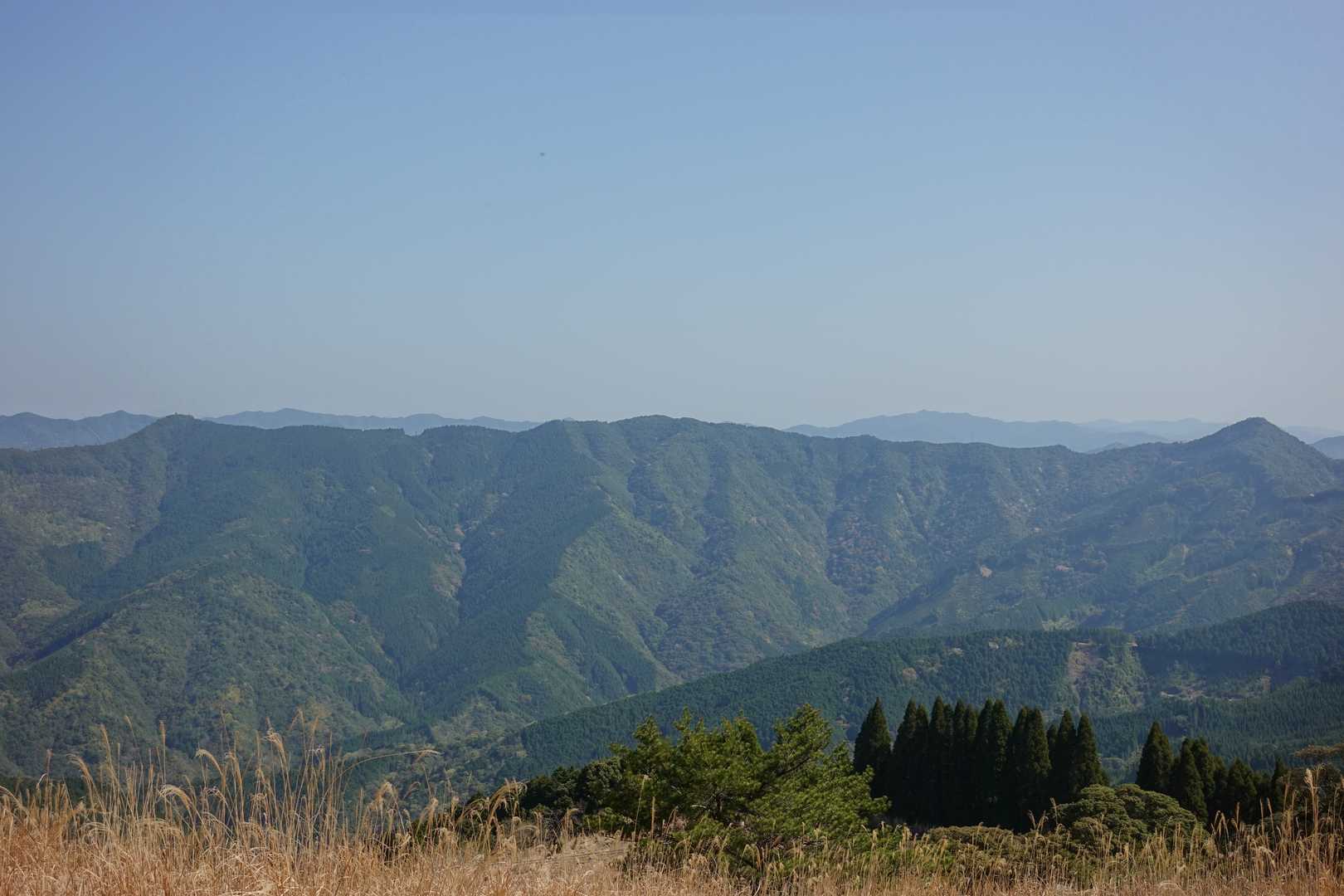 北には岳山から延びる尾根筋。地図を見ると林道が尾根筋を通っていますね。