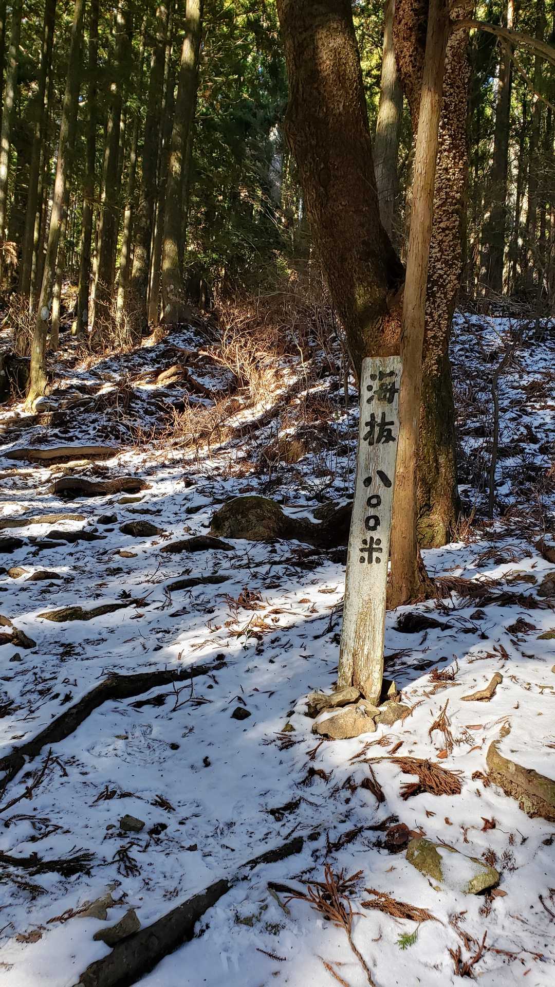 初めて感動です