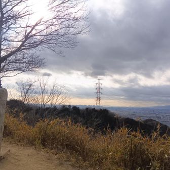 国見山からの眺めも気持ちいい