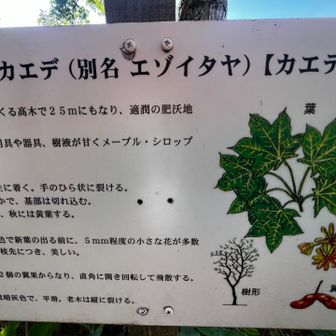 ちゃんと書いてる