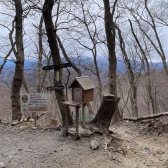 やっと頂上着いた