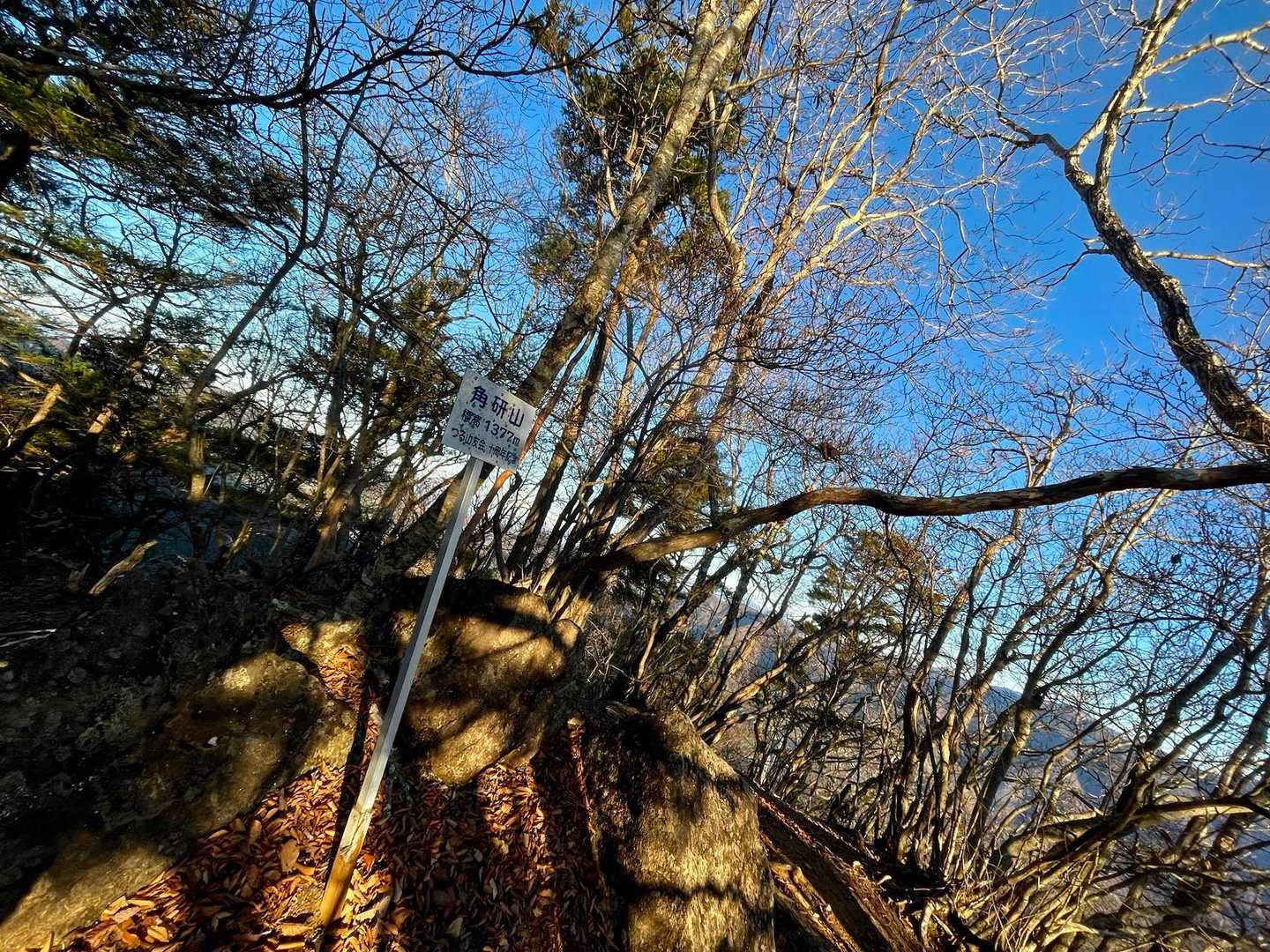 やっとの思いで角研山山頂到着🥵

登山口から2.7kmで700mも登りました💦
河口湖まで行けるのかかなり不安になりました…😰