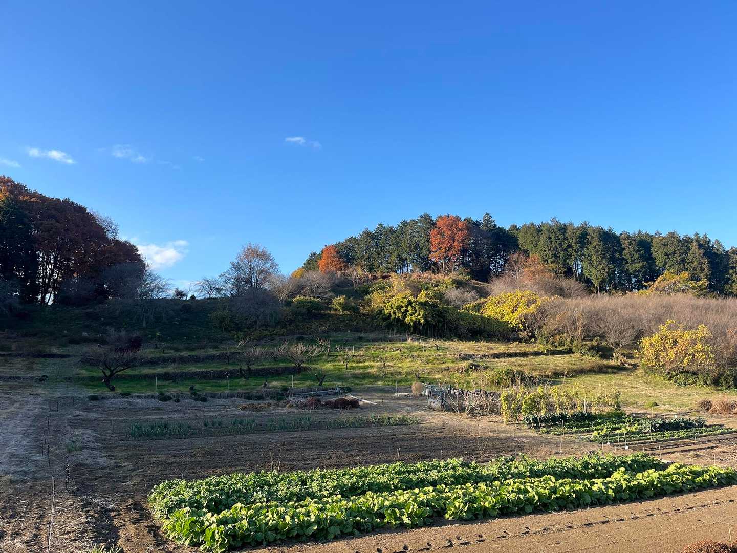 外秩父七峰縦走コース入口-二本木峠-愛宕山-皇鈴山-茱萸ﾉ 縦走コースの写真