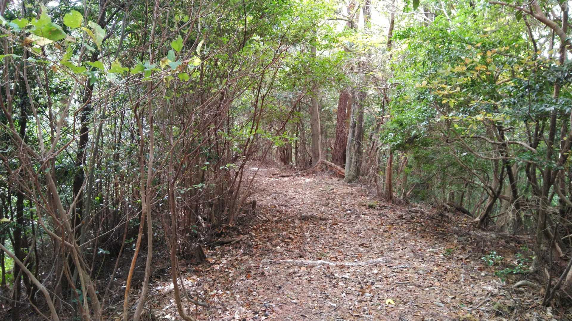 広くて歩き易い道