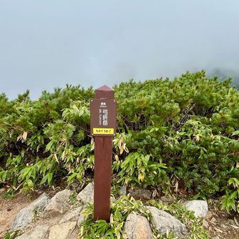 ちょっと寄り道して
『弓折岳』2592m 初登頂

景色は真っ白…