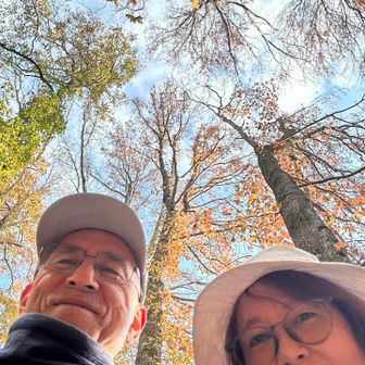 ほとんど葉を落としたフウの木