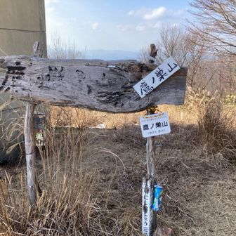 鷹ノ巣山、山頂！