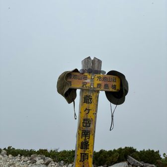 南峰も到着