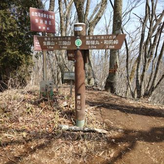 連行峰（連行山）山頂