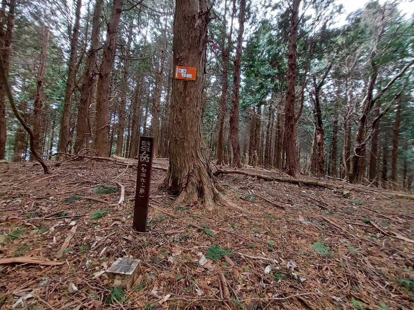 星岳登頂