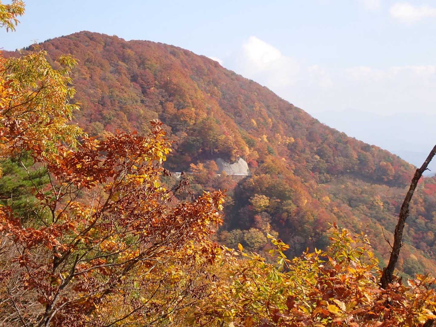 第二登山口-菅谷峠-ホノケ山-高頭山 往復コースの写真