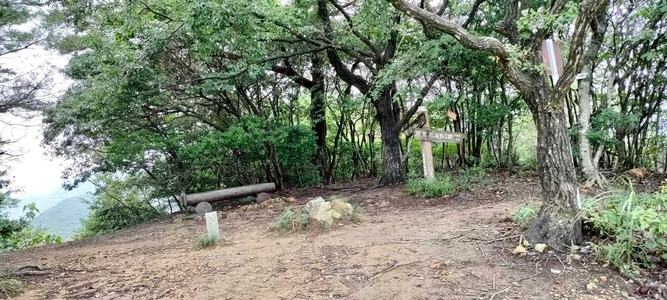 誰もいなかった