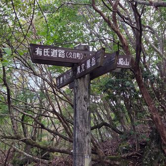 標識現れる箇所
数年前にヨコティさんと歩いた事を思い出す😃💡
