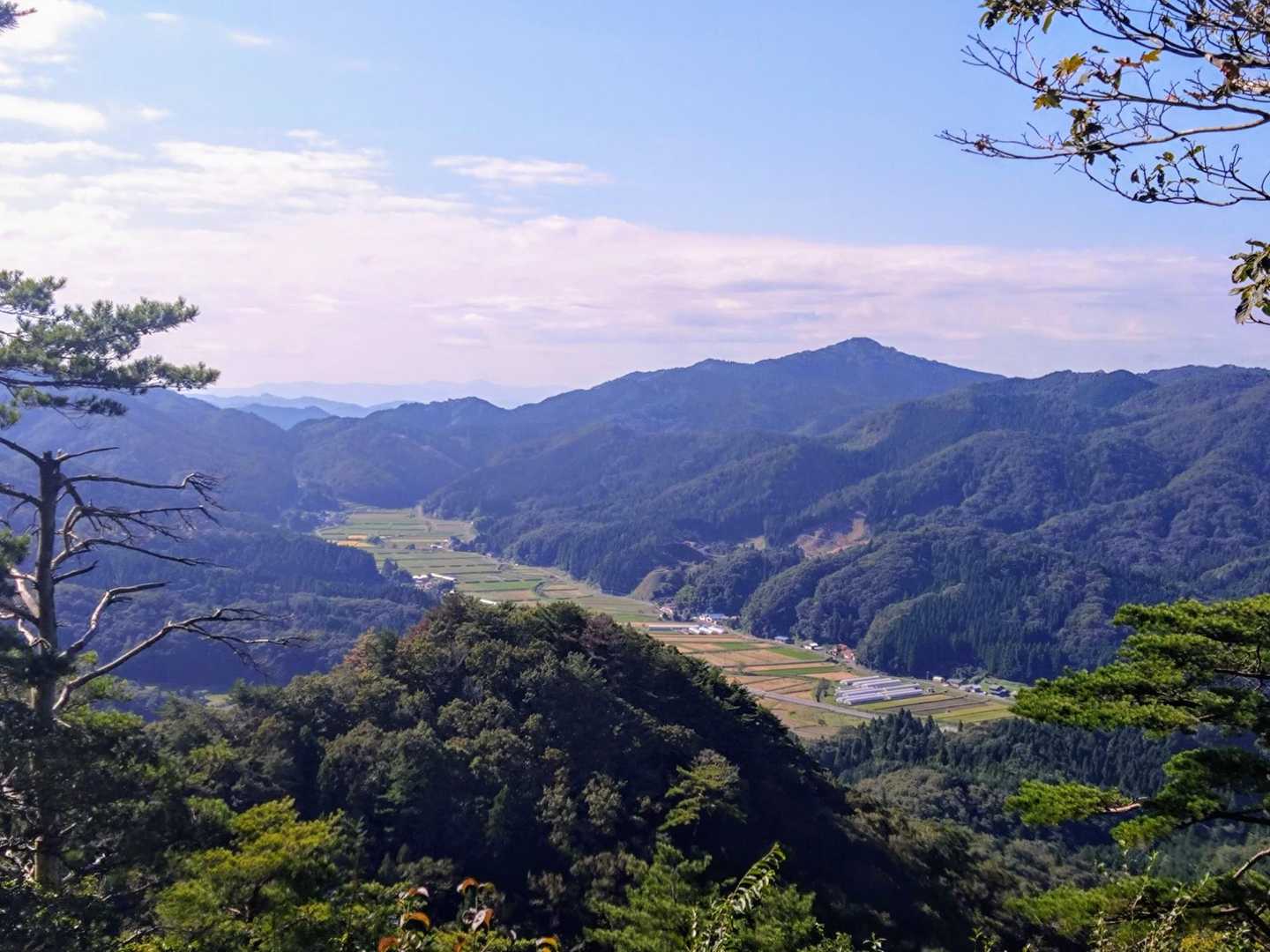 静かに時間が流れています。バタバタする事が続いていたので、こういう時間がとても贅沢に思えます。