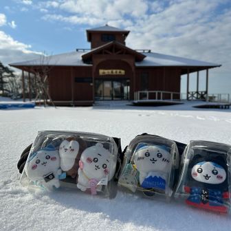 ベンチに乗せて龍宮城と📸