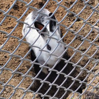 一生懸命、穴を掘る子💪