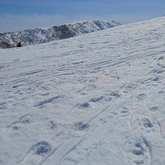 あ、無意根山
(この時まだ、無意根山だと気づいていませんꉂ🤣𐤔)