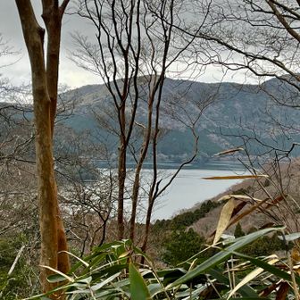 芦ノ湖畔を目指します🐳