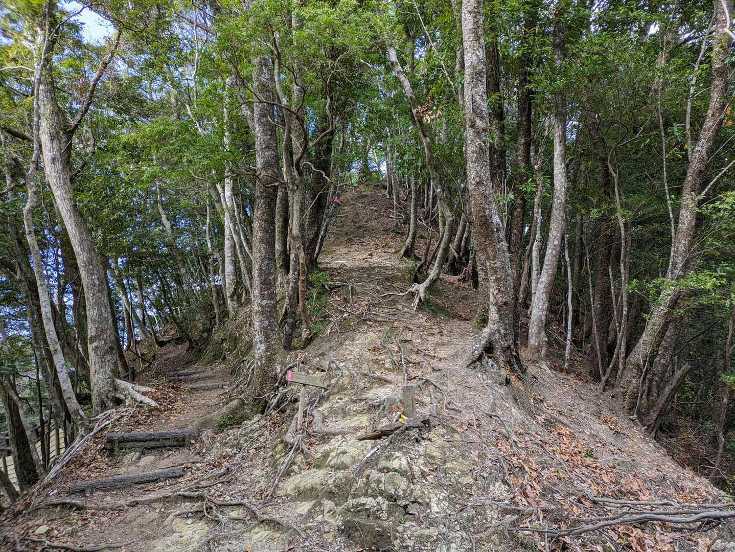 地蔵峠-元清澄山 往復コースの写真