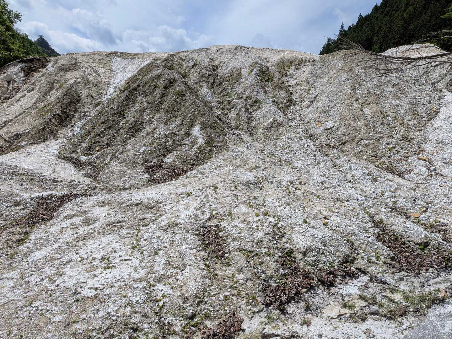 赤岩峠登山口-赤岩峠-大ナゲシ 往復コースの写真