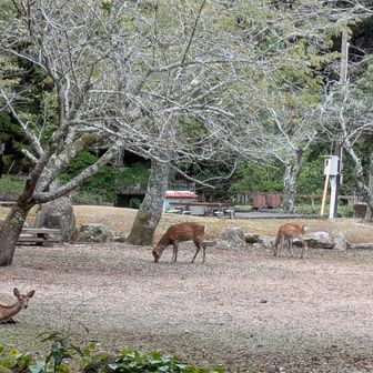 楽しいおしゃべりで下山もあっという間に…そしていよいよお待ちかねの