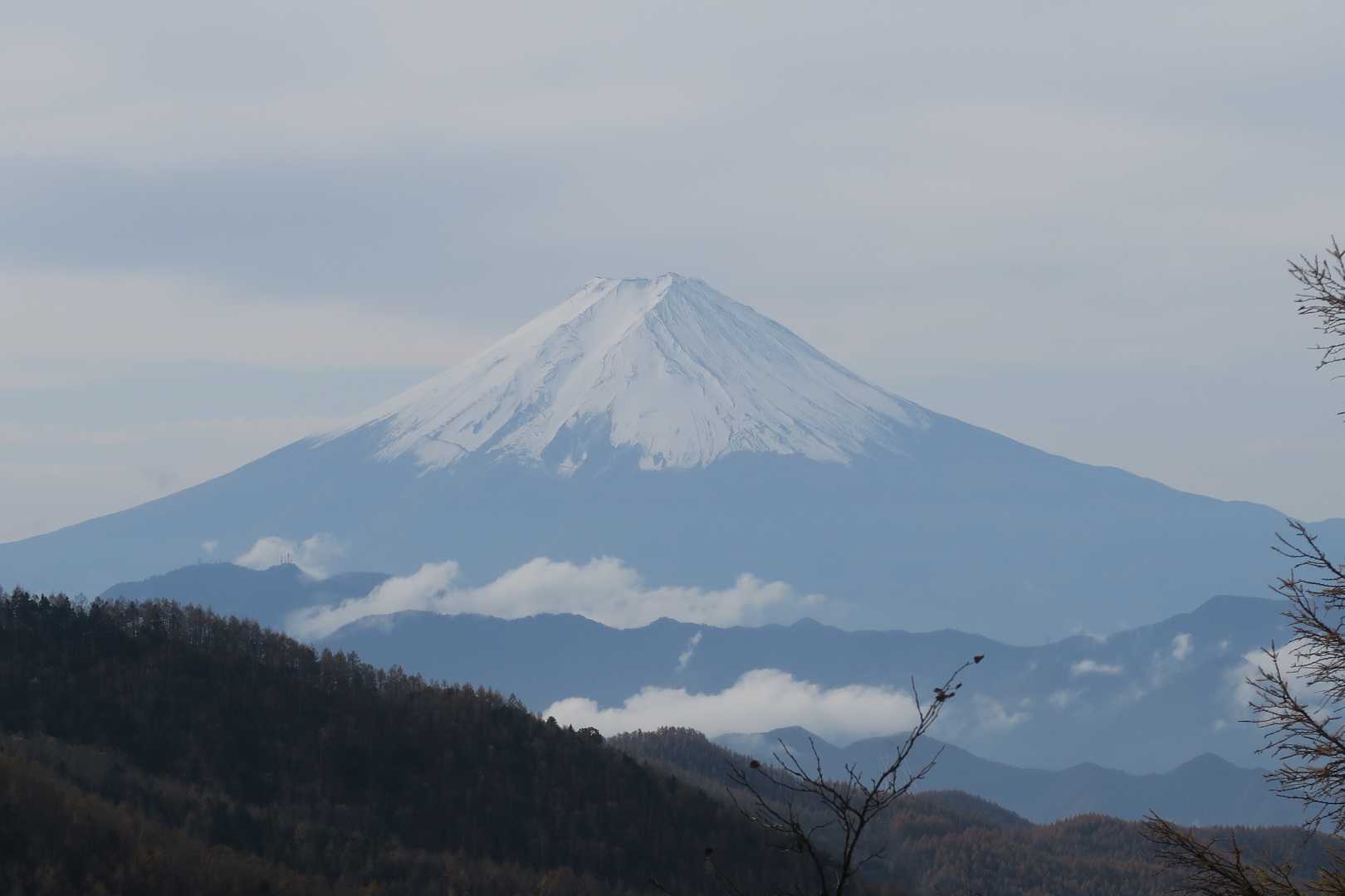 拡大