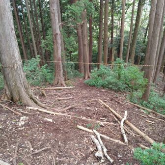 トラロープを潜って雨乞山に向かう