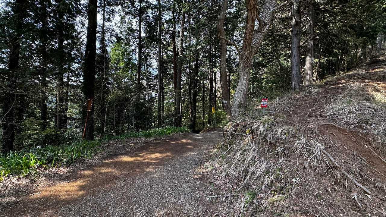 南高尾セブンサミッツ（大洞山・コンピラ山・中沢山・入沢山・泰光寺山・榎窪山・草戸山） の写真 6